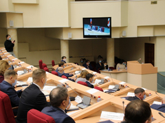 Для Саратова разработают прогрессивные правила прогона скота
