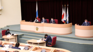 Для Саратова разработают прогрессивные правила прогона скота