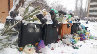 Скоро крысы будут передавать привет!. Жители улицы Международной попросили вывезти мусор
