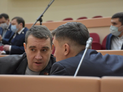 Не надо кислое с пресным путать и все это на уши навешивать: в областной думе объяснили, зачем антикоронавирусной горячей линии 10 миллионов рублей