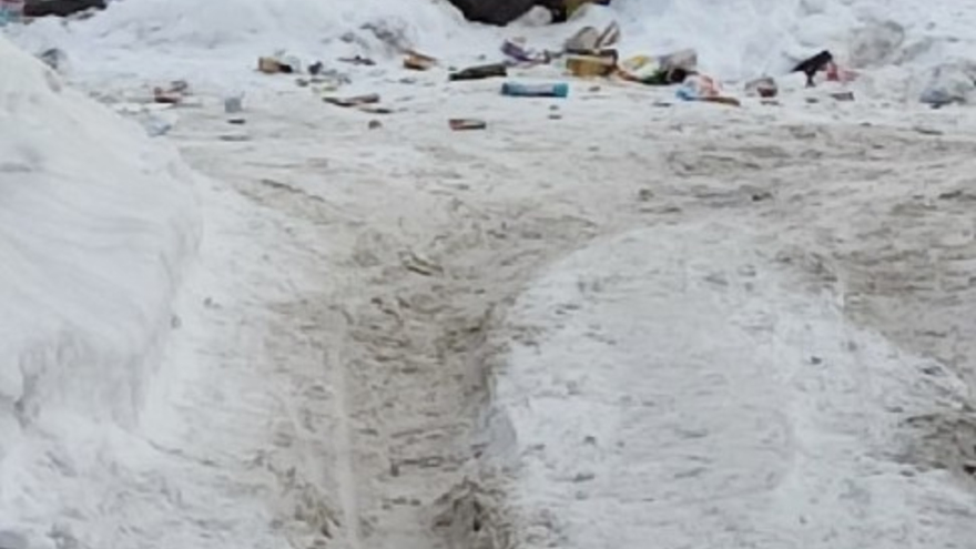 У нас опять катастрофа!. Коммунальщики вновь забыли про свалку на Волжской