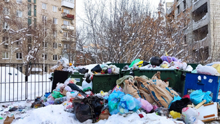 У нас опять катастрофа!. Коммунальщики вновь забыли про свалку на Волжской