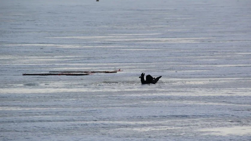 В Саратовской области вешние воды могут затопить 7 тысяч домов почти в 100 населенных пунктах