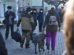 Олимпиада идёт – они уже нас стреляли: прибывшие в Саратов беженцы рассказали, почему уехали из Донбасса 