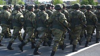Совет Федерации дал согласие на использование Вооруженных сил России за пределами страны