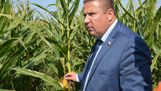 Министр Роман Ковальский назвал товары местного производства, которые в дефиците в Саратовской области