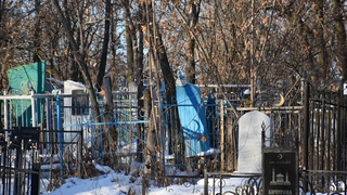 В Саратовской области умерли 11,3 тысячи пациентов с коронавирусом