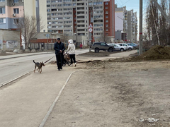 В Юбилейном рабочие разрыли тротуар: матерям с колясками приходится выходить на дорогу