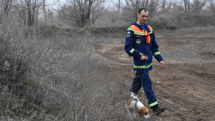 В Парке покорителей космоса проходит финал международного турнира среди мотоциклистов-экстремалов (фоторепортаж)