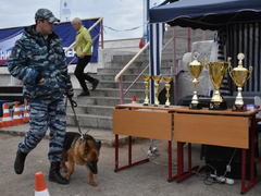 В Парке покорителей космоса проходит финал международного турнира среди мотоциклистов-экстремалов (фоторепортаж)