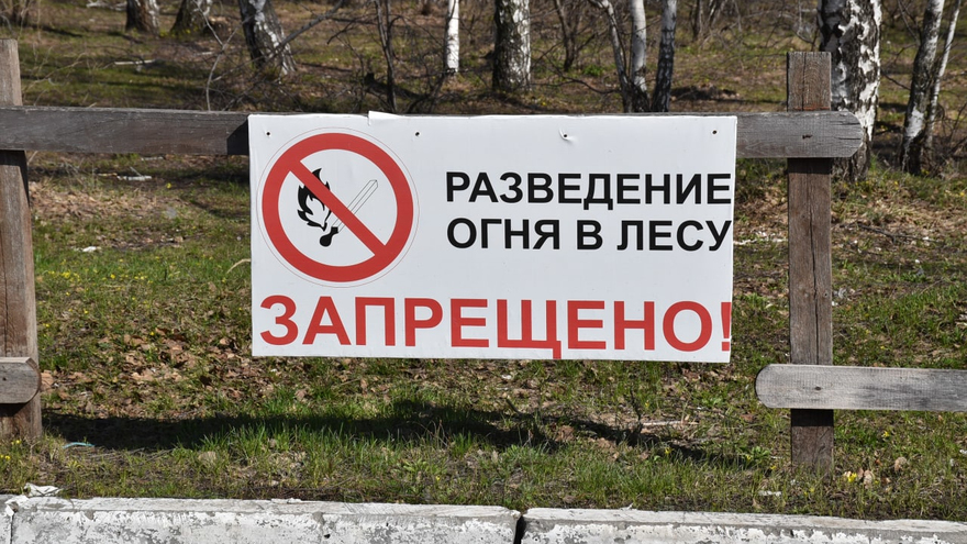 Субботник в лесу: чиновники обсудили шашлык и позвали саратовцев на уборку