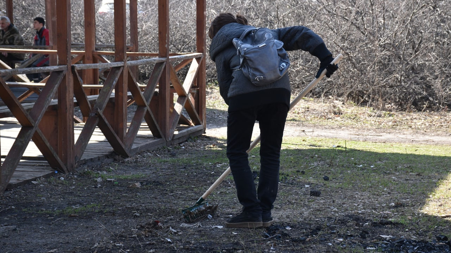 Субботник в лесу: чиновники обсудили шашлык и позвали саратовцев на уборку