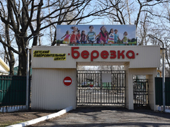 Субботник в лесу: чиновники обсудили шашлык и позвали саратовцев на уборку