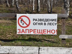 Субботник в лесу: чиновники обсудили шашлык и позвали саратовцев на уборку