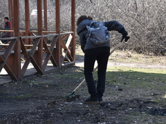Субботник в лесу: чиновники обсудили шашлык и позвали саратовцев на уборку