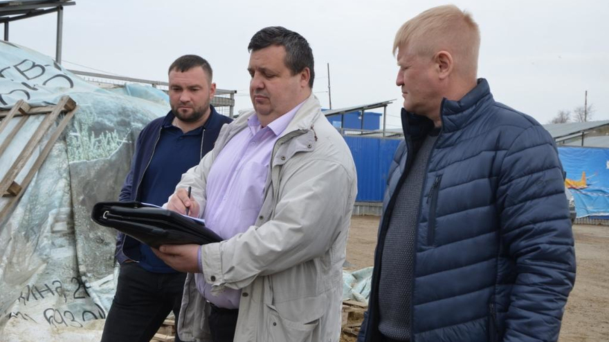 Мусор, затопленный вольер, размокшая ветрозащита: волонтеры развели антисанитарию в саратовском собачьем приюте