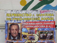 Первенство Саратова по греко-римской борьбе. Депутат Госдумы Андрей Воробьев вручил борцам значки кандидатов в мастера спорта