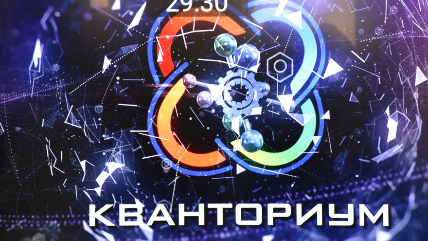 В Саратове устроили битву роботов-сумоистов