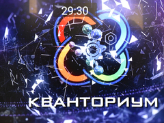 В Саратове устроили битву роботов-сумоистов