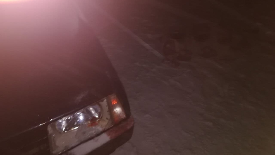 Водителя, который насмерть задавил пенсионерку, отправили в колонию
