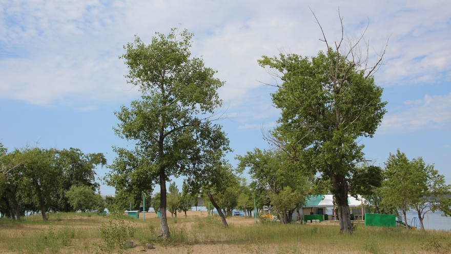 Саратовцы открыли купальный сезон на Городских песках и нелегальном пляже под мостом