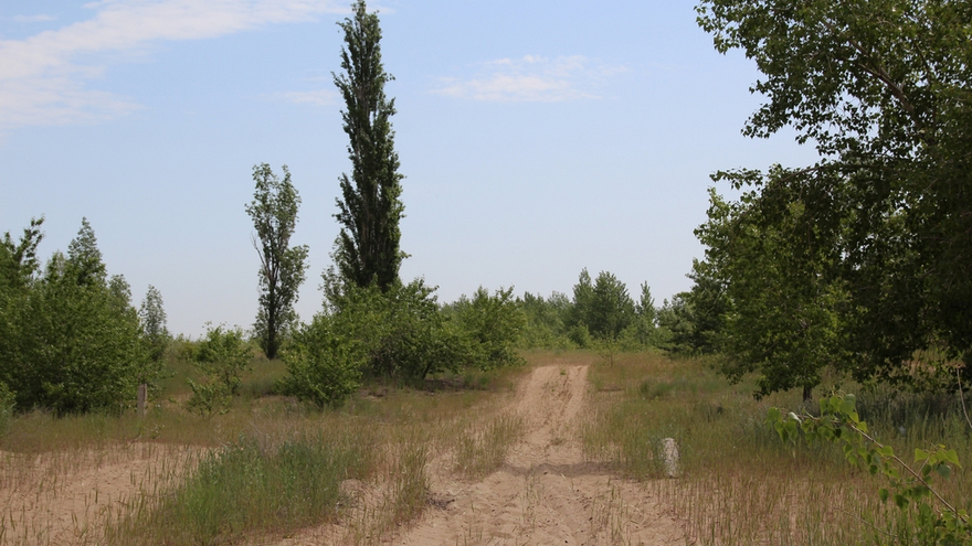 Саратовцы открыли купальный сезон на Городских песках и нелегальном пляже под мостом