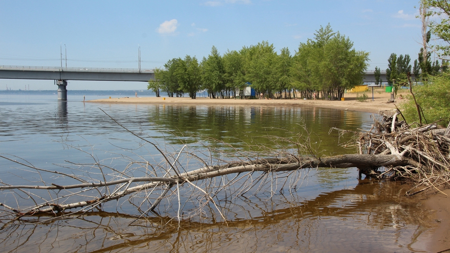Саратовцы открыли купальный сезон на Городских песках и нелегальном пляже под мостом