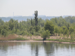 Саратовцы открыли купальный сезон на Городских песках и нелегальном пляже под мостом