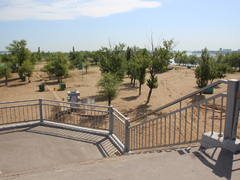 Саратовцы открыли купальный сезон на Городских песках и нелегальном пляже под мостом