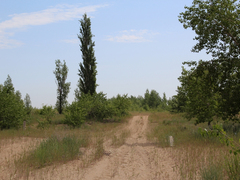 Саратовцы открыли купальный сезон на Городских песках и нелегальном пляже под мостом