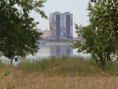 Саратовцы открыли купальный сезон на Городских песках и нелегальном пляже под мостом