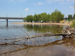Саратовцы открыли купальный сезон на Городских песках и нелегальном пляже под мостом
