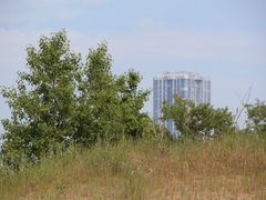 Саратовцы открыли купальный сезон на Городских песках и нелегальном пляже под мостом