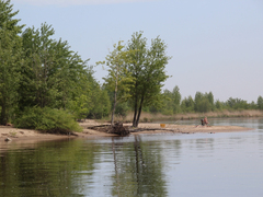 Саратовцы открыли купальный сезон на Городских песках и нелегальном пляже под мостом