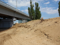 Саратовцы открыли купальный сезон на Городских песках и нелегальном пляже под мостом