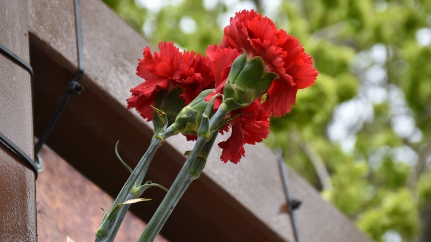 На Украине погиб военный из Саратовской области Михаил Власов