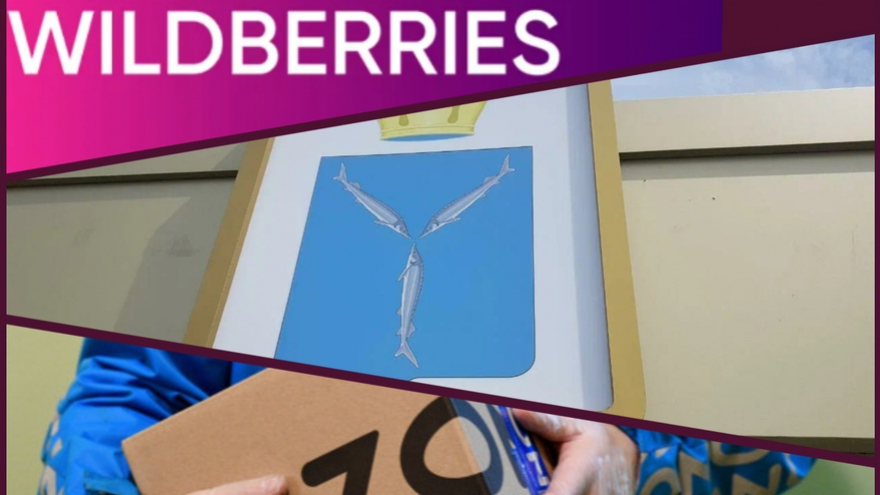 Министр объяснил, чем региону поможет центр Wildberries, и рассказал о переговорах с Ozon