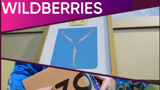 Министр объяснил, чем региону поможет центр Wildberries, и рассказал о переговорах с Ozon