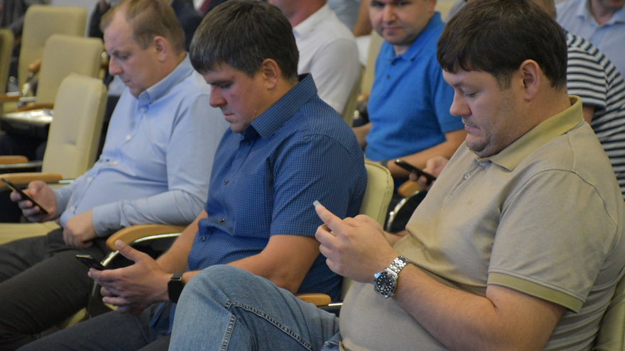 Чиновники планируют вывести саратовских бизнесменов на африканский рынок