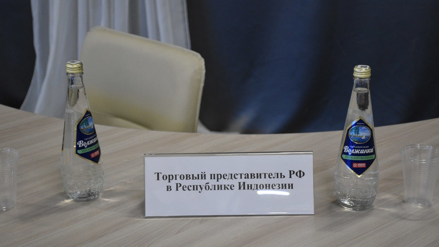 Чиновники планируют вывести саратовских бизнесменов на африканский рынок