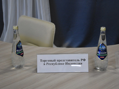 Чиновники планируют вывести саратовских бизнесменов на африканский рынок