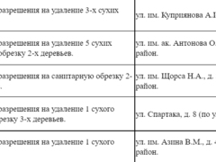 В Саратове разрешили срубить десятки деревьев