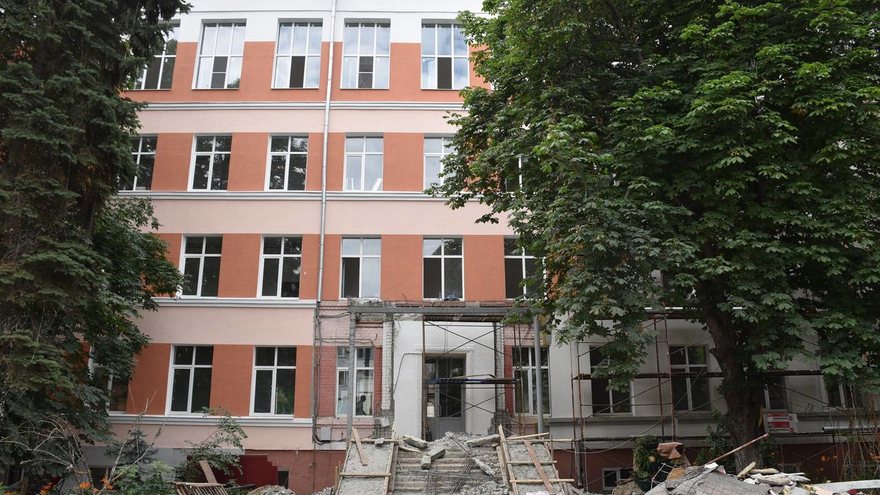 В Саратове у гимназии № 3 решали судьбу многолетних каштанов, елей и тополей
