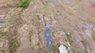 Ущерб природе от битумной могилы на окраине Саратова оценили в 11 миллионов рублей