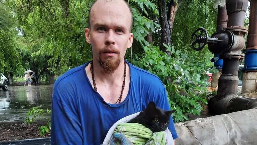 В Саратове кошка три дня провела на дереве: ее сбросили с балкона