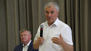 Вячеслав Володин о проблеме бродячих собак: Менять надо не законы, а мэров