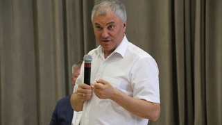 Ничего личного: Вячеслав Володин посоветовал выяснить, чьи коттеджи закрывают Волгу на берегу Энгельса
