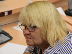 В Саратове ввели новую градостроительную зону ради создания индустриального парка