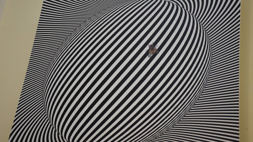 Дурные привычки и Апокалипсис: в Саратов привезли картины, фотографии и поделки из дерева
