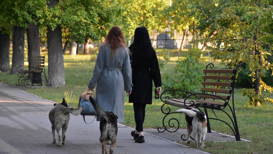 В Заводском районе открыли уличную площадку для любителей бокса